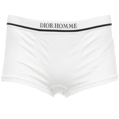 dior briefs|Dior underwear.